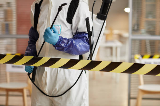Professional Sewage Cleanup technician working in Kyburz, CA